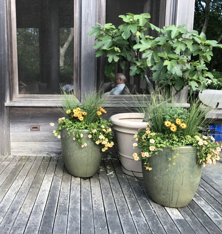 planters